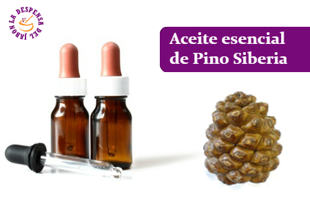 Aceite esencial de Pino Sibirica
