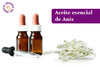 Anise essential oil