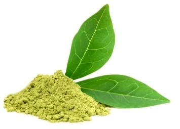 Moringa powdered extract BIO