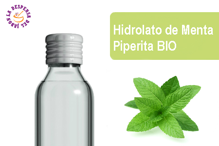 Mint Piperita Hydrolate BIO