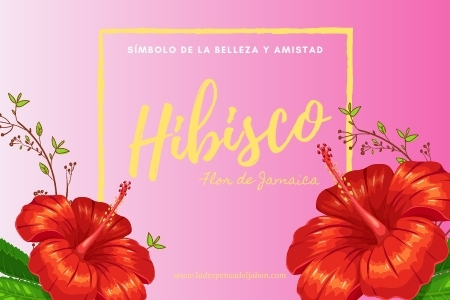 Leer mensaje completo: Hibisco, símbolo de la belleza y amistad